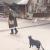 nyaaagazer のプロフィール写真